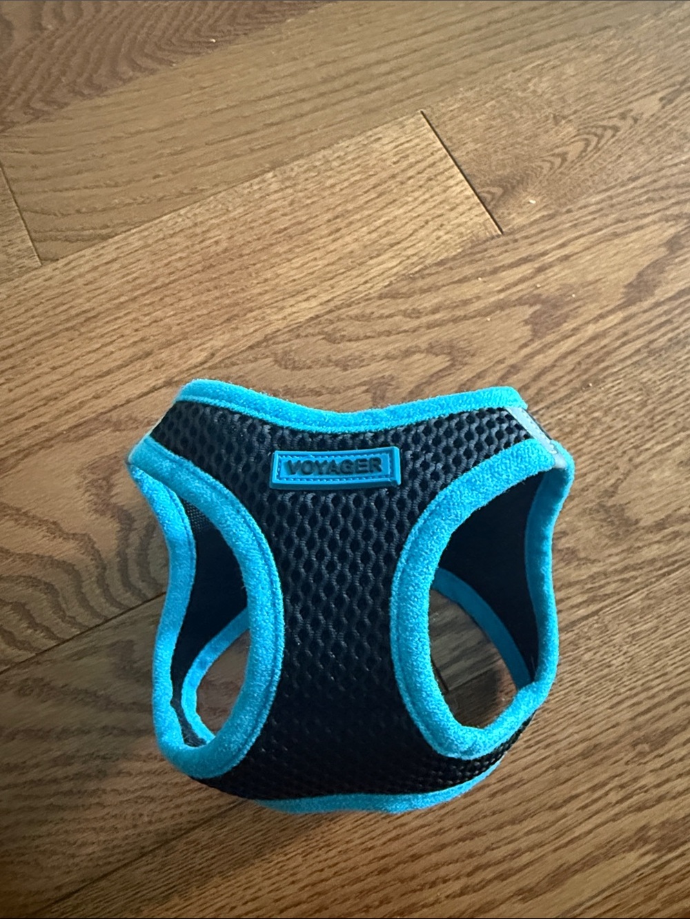 XS Dog Harness, Blue Trim Mesh Harness